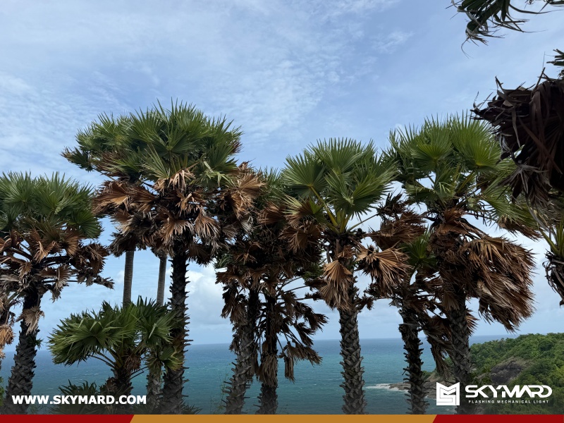 SKYMARD 2026 Annual Trip: A Summer to Remember in Thailand